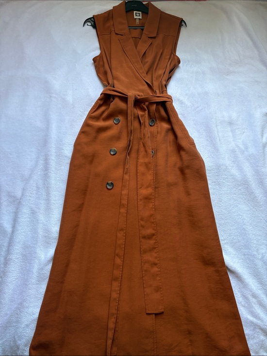 Anne Klein Dresses & Skirts - Anne Klein Rust Sleeveless Wrap Maxi Dress